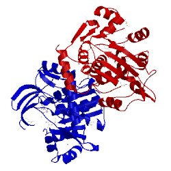 Image of CATH 3kd6