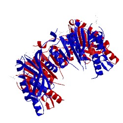 Image of CATH 3kd8