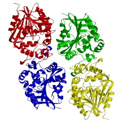 Image of CATH 3kda