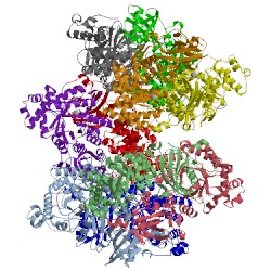 Image of CATH 3kdn