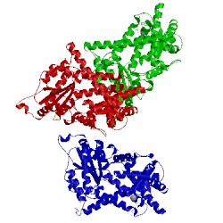 Image of CATH 3kds