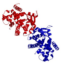 Image of CATH 3kdt