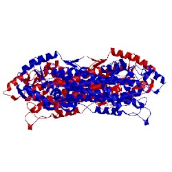 Image of CATH 3kdy
