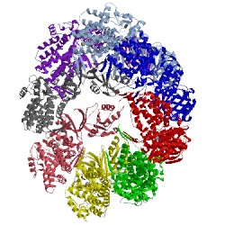 Image of CATH 3kfe