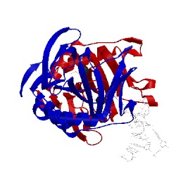 Image of CATH 3khc