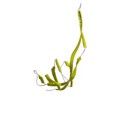 Image of CATH 3kitV00