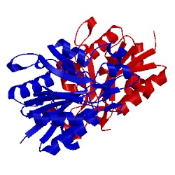 Image of CATH 3kkl