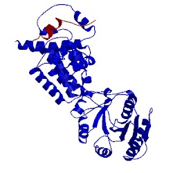 Image of CATH 3kl4