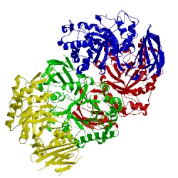 Image of CATH 3kl5