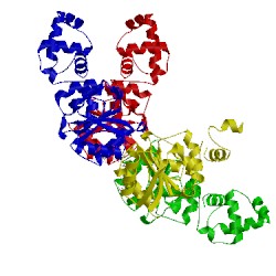 Image of CATH 3klo