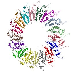 Image of CATH 3kml