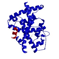 Image of CATH 3kmr