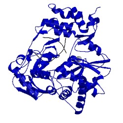 Image of CATH 3kms