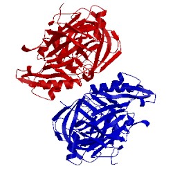 Image of CATH 3kn0
