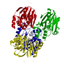 Image of CATH 3kns