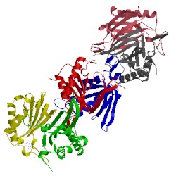 Image of CATH 3ko5