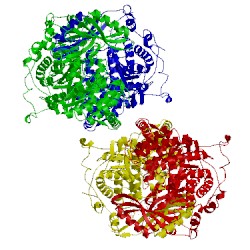 Image of CATH 3kp0