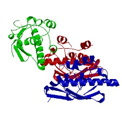 Image of CATH 3kpa