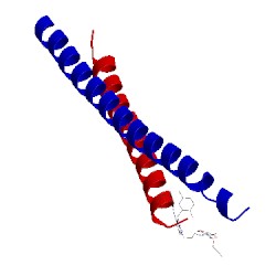 Image of CATH 3kpe