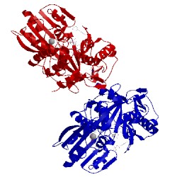 Image of CATH 3kql