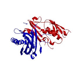 Image of CATH 3krn