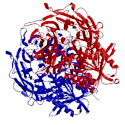 Image of CATH 3kwf