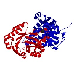 Image of CATH 3kxd