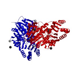 Image of CATH 3l01