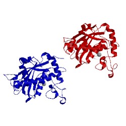 Image of CATH 3l0v