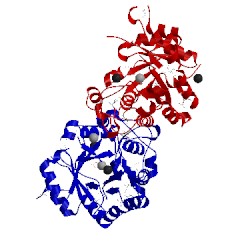 Image of CATH 3l12