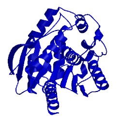 Image of CATH 3l1j
