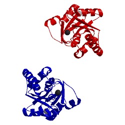 Image of CATH 3l1u