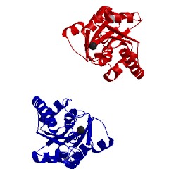 Image of CATH 3l1v