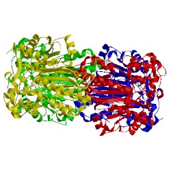 Image of CATH 3l2d