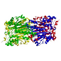 Image of CATH 3l2e