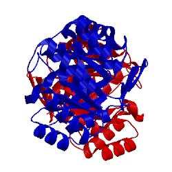 Image of CATH 3l2i