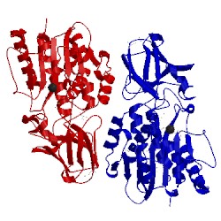 Image of CATH 3l2n