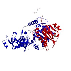 Image of CATH 3l2r