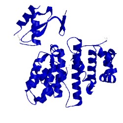 Image of CATH 3l3f