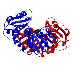 Image of CATH 3l5o