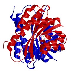 Image of CATH 3l6e