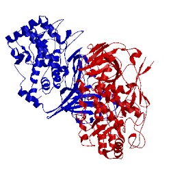 Image of CATH 3l6w