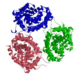 Image of CATH 3l6y