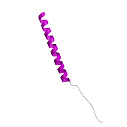 Image of CATH 3l74Q02