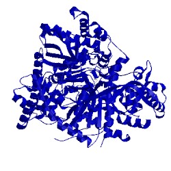 Image of CATH 3l7a