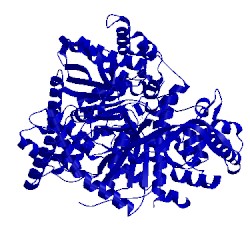 Image of CATH 3l7d