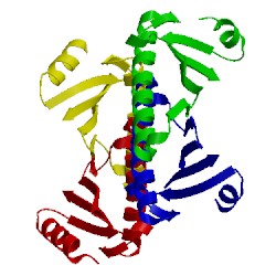 Image of CATH 3l7h