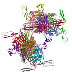 Image of CATH 3l89