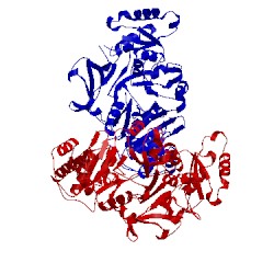 Image of CATH 3l8c