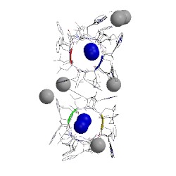 Image of CATH 3l8l
